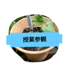 月山線スタンプ日薬壱ハハノヒきゅり山弐（個別スタンプ：11）