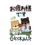【Big】柴犬・ちゃちゃ丸たち 54『初夏』（個別スタンプ：18）