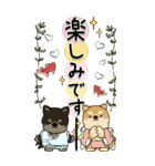 【Big】柴犬・ちゃちゃ丸たち 54『初夏』（個別スタンプ：20）