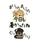 【Big】柴犬・ちゃちゃ丸たち 54『初夏』（個別スタンプ：22）
