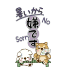 【Big】柴犬・ちゃちゃ丸たち 54『初夏』（個別スタンプ：31）
