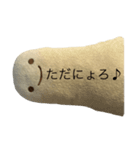 癒され！しろにょろスタンプ2（個別スタンプ：3）