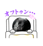 くろ猫さんのスタンプ（個別スタンプ：3）