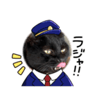 くろ猫さんのスタンプ（個別スタンプ：11）