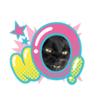 くろ猫さんのスタンプ（個別スタンプ：12）