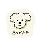 ぷくしスタンプ（個別スタンプ：1）
