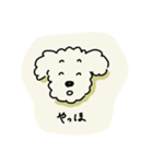 ぷくしスタンプ（個別スタンプ：8）