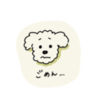ぷくしスタンプ（個別スタンプ：12）