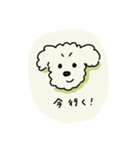 ぷくしスタンプ（個別スタンプ：15）