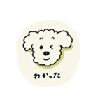ぷくしスタンプ（個別スタンプ：22）