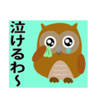 フクロウ日和（個別スタンプ：14）