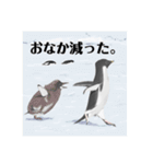 神在月のペンギンスタンプ18（個別スタンプ：7）