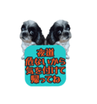 愛犬のメモ帳（個別スタンプ：6）