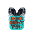 愛犬のメモ帳（個別スタンプ：9）