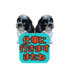 愛犬のメモ帳（個別スタンプ：10）