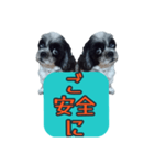 愛犬のメモ帳（個別スタンプ：11）