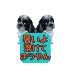 愛犬のメモ帳（個別スタンプ：12）