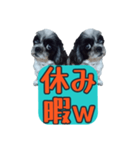 愛犬のメモ帳（個別スタンプ：14）