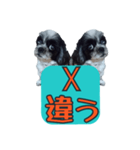 愛犬のメモ帳（個別スタンプ：17）