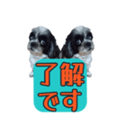 愛犬のメモ帳（個別スタンプ：20）