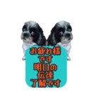 愛犬のメモ帳（個別スタンプ：21）