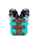 愛犬のメモ帳（個別スタンプ：22）