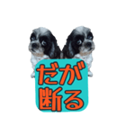 愛犬のメモ帳（個別スタンプ：26）