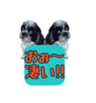 愛犬のメモ帳（個別スタンプ：32）