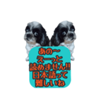 愛犬のメモ帳（個別スタンプ：36）