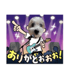 キラキラ白犬（個別スタンプ：6）