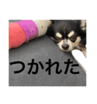 エルだZE❓（個別スタンプ：11）
