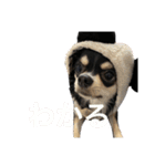 エルだZE❓（個別スタンプ：15）