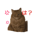 ジョージのまいにちスタンプ（個別スタンプ：19）
