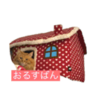 ジョージのまいにちスタンプ（個別スタンプ：28）