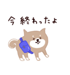 ◯SHIBAINUさん◯家族＆友達連絡（個別スタンプ：33）