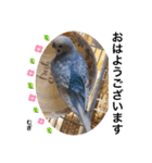 わたしむぎちゃん3（個別スタンプ：1）