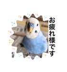 わたしむぎちゃん3（個別スタンプ：5）