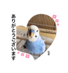 わたしむぎちゃん3（個別スタンプ：6）