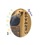 わたしむぎちゃん3（個別スタンプ：7）