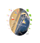 わたしむぎちゃん3（個別スタンプ：9）