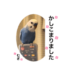 わたしむぎちゃん3（個別スタンプ：10）