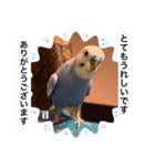 わたしむぎちゃん3（個別スタンプ：14）