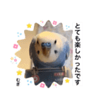 わたしむぎちゃん3（個別スタンプ：15）
