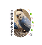 わたしむぎちゃん3（個別スタンプ：16）