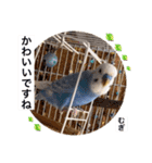 わたしむぎちゃん3（個別スタンプ：20）