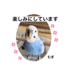 わたしむぎちゃん3（個別スタンプ：21）