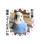 わたしむぎちゃん3（個別スタンプ：25）
