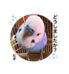 わたしむぎちゃん3（個別スタンプ：32）