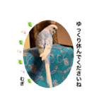 わたしむぎちゃん3（個別スタンプ：34）