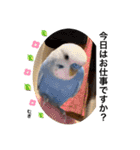 わたしむぎちゃん3（個別スタンプ：36）